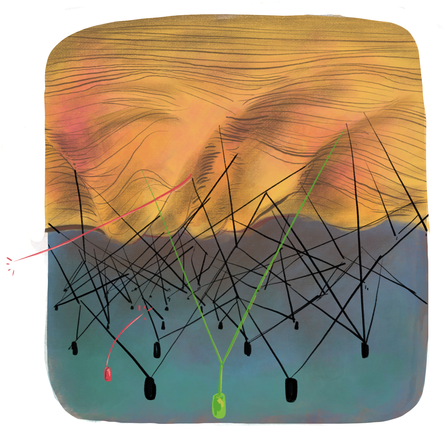 We study how gene regulatory programs are established during development, how they are disrupted in disease, and how they can be engineered for therapeutics.
